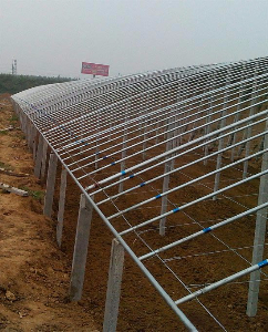 山东邹平蔬菜种植示范基地（土墙体冬暖日光温室）