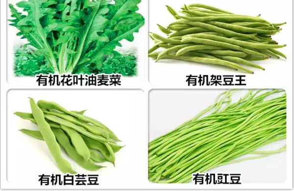 什么是有机蔬菜？